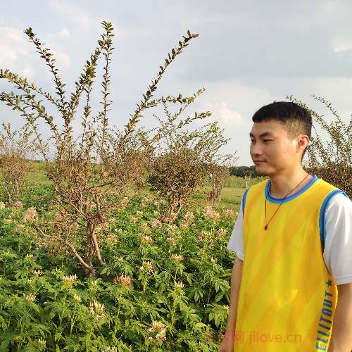 37岁岁广东单身帅哥 - 晋城吉缘网